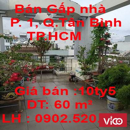 Bán Gấp nhà gần Sân Bay, HXH 8m giá 10tỷ5 đường Lê Văn Sỹ.