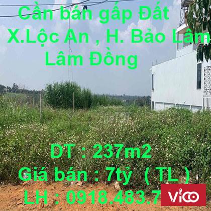 Cần bán gấp Đất Trung Tâm Xã Lộc An , Huyện Bảo Lâm, Lâm Đồng