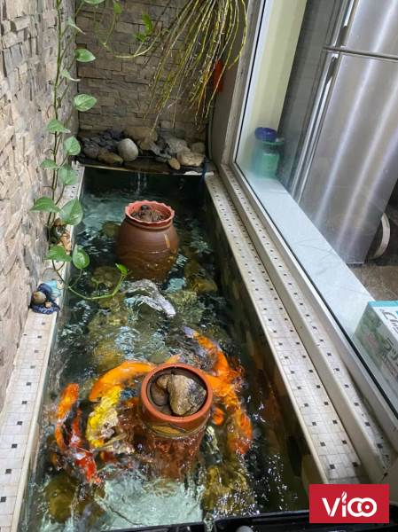 Bán nhà Phân Lô Kiến Hưng vỉa hè, ô tô 50m2, mt 4m nhỉnh 7 tỷ