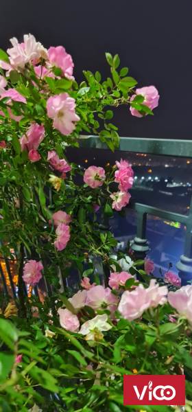 Cần bán căn hộ 3PN tại Chung cư An Bình City, Phạm Văn Đồng, Bắc Từ Liêm, Hà Nội