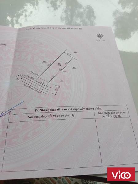 nhìn là mê ngay ngại gì không mua nhanh