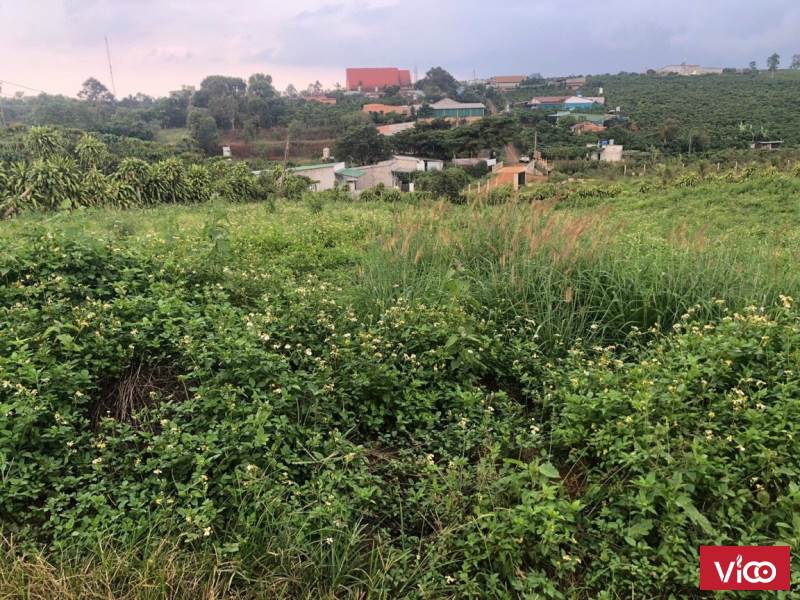 bán ngay mảnh đất giá rẻ như cho ngay trung tâm thành phố