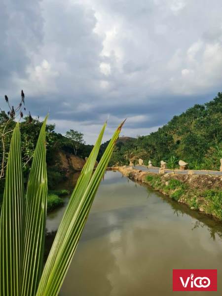 đất đẹp mê li nhìn là mê siêu tiềm năng giá trị kinh tế cao