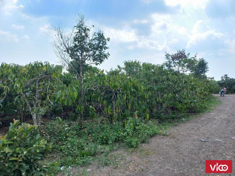 rao bán mảnh đất giá đẹp giá chỉ có mình em bán