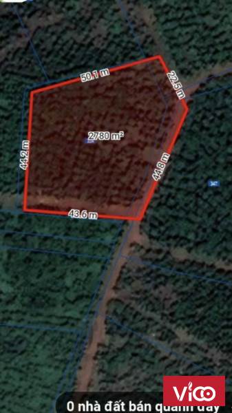 bán mảnh đất đẹp có giá siêu hời cho anh em bảo lộc đây!!!