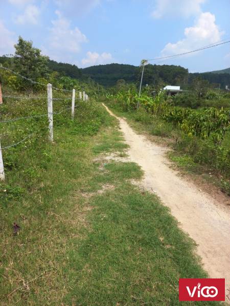 Chính chủ gửi bán hơn 3 sào. Có 2mt đường. tại Lộc Bắc giá rẻ nhất thị trường