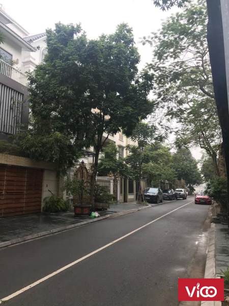 Biệt thự KĐT Việt Hưng, 200m2, giá 30 tỷ, Siêu biệt thự, nội thất ngoại nhập