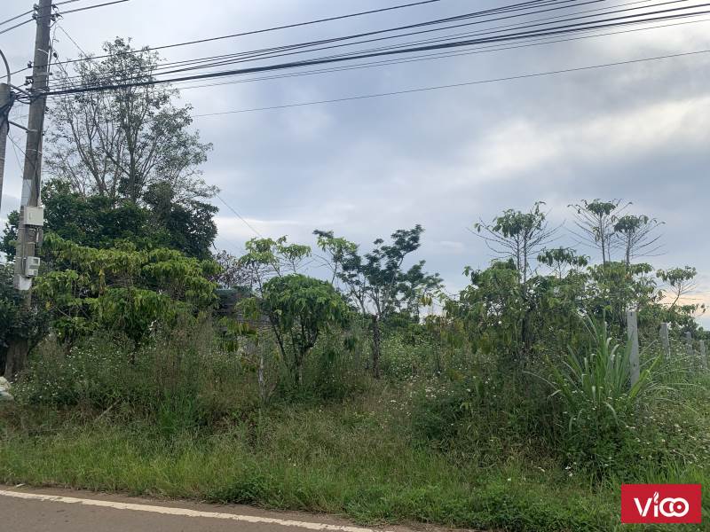 Bán lô đất 2900m2 MT Phùng Hưng,Bảo Lộc,Lâm Đồng