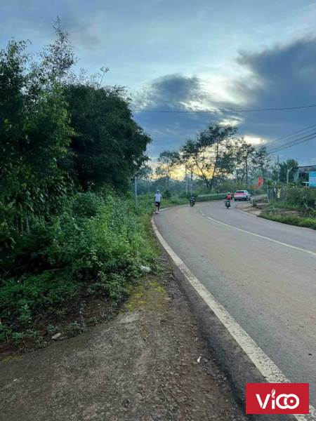 bỏ phố về núi với đất siêu mê ngay trung tâm thành phố