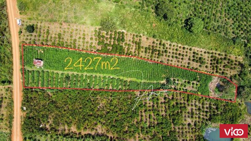 bán đất đẹp nhue tranh vẽ nhìn siêu mê li