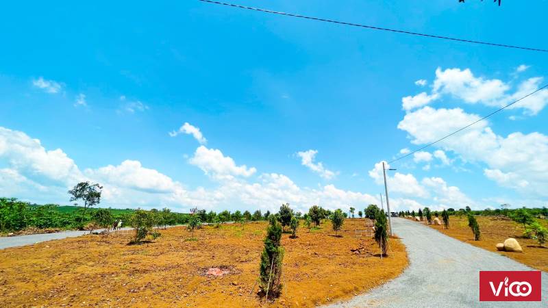 Đón đầu xu hướng Đầu tư theo các ông lớn như NovaLand, Hưng Thịnh, Bamboo Capital,....