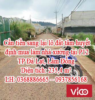 Cần tiền mình sang lại lô đất tâm huyết định mua làm nhà xưởng tại P12 , TP Đà Lạt, Lâm Đồng