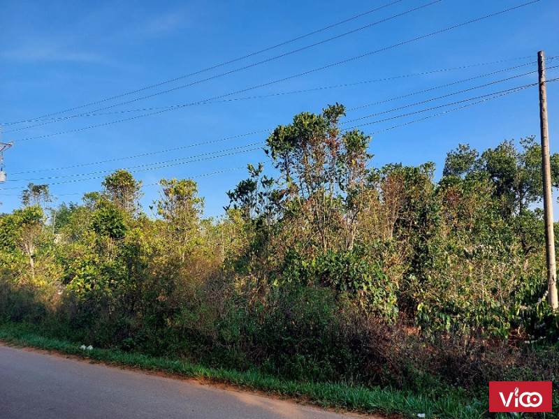 Bán 3 Lô Đất Đẹp Tại Đức Trọng, Lâm Đồng Giá Đầu Tư F0