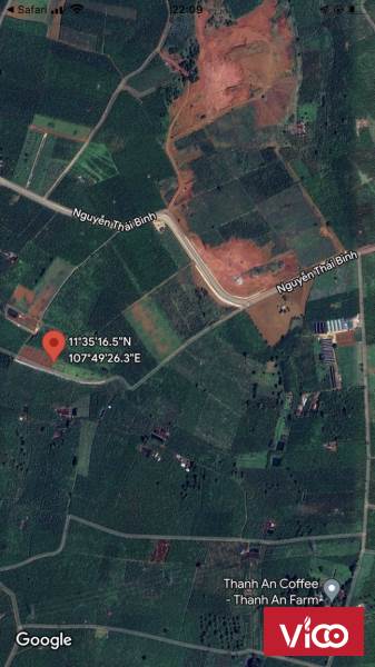 Lốc 12 lô F0 Lộc Phát Bảo Lộc giá đầu tư