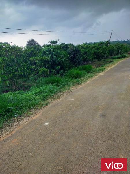 Cần bán lô đất thuộc Tân Hóa, Lộc Nga. Gần mọi tiện ích