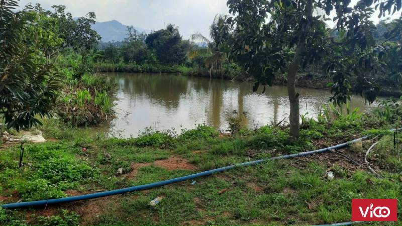 CẦN BÁN NHANH LÔ ĐẤT GIÁ QUÁ RẺ THÔN 5 LỘC NAM BẢO LÂM LÂM ĐỒNG