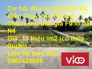 Cơ hội đầu tư tại Đoàn Xá, Kiến Thụy, Hải Phòng.