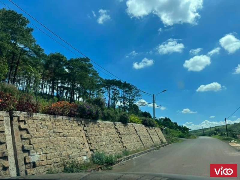 biệt thử nghỉ dưỡng cho anh em tuyệt đẹp như đà lạt thu nhỏ