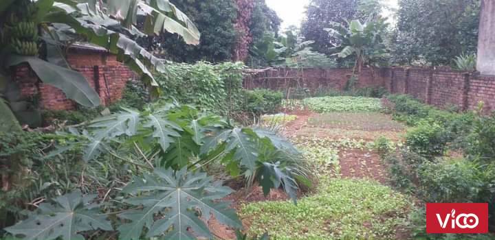 Bán đất gần sân bóng thôn Thái Bình 229m MT 10m xã Bình Yên giá nhỉnh 25tr/m