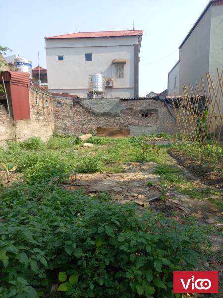 Tìm đâu ra lô đất S902 phường An Bình, TX Thuận Thành, giá hơn 1 tỷ như này ạ