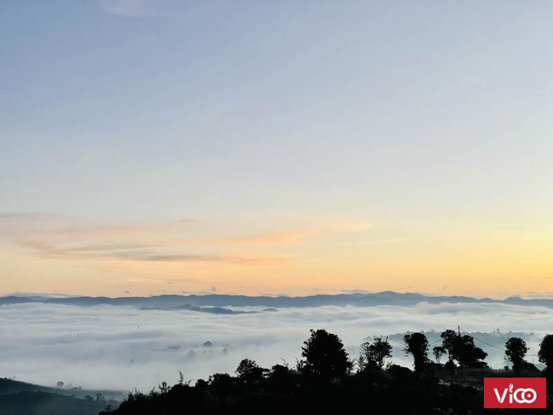 Cần Bán Gấp Đất 2,5ha tại Ninh Gia, Đức Trọng, Lâm Đồng 380tr/sào