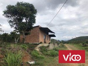 Chính Chủ Cần Bán Gấp Rẫy Cà Phê Đang Thu Hoạch Tại Tỉnh Lâm Đồng