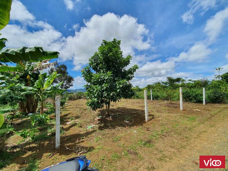 Mình nắm chính chủ lô đất đẹp mặt tiền hẻm Lê Thị Riêng, Lộc Châu.