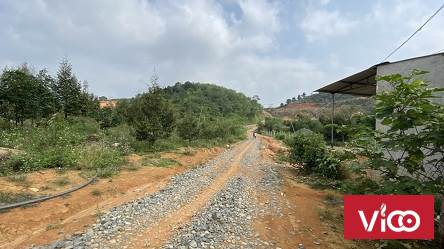 Cần bán nhanh lô đất quy hoạch, full thổ cư, chính chủ tại Lộc Nam, Bảo Lâm, Lâm Đồng