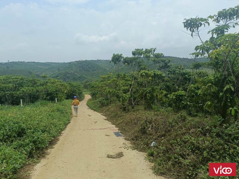 bán nhanh lô đất đang cho giá trị kinh tế đầu tư cao