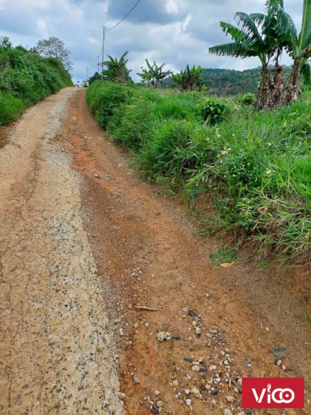 đất phân lô giá siêu đẹp đầu tư quá ngon