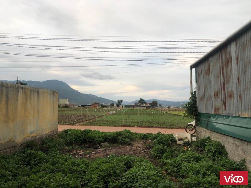 Sở Hữu Ngay Lô Đất Vị Trí Đẹp Tại Đức Trọng, Lâm Đồng Giá Siêu Rẻ