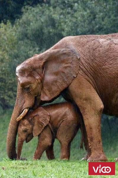 Cần bán nhanh lô đất Làn 2, quốc lộ 17, Xuân Lai, Gia Bình, Bắc Ninh, S 104m2, giá hơn 1,2 tỷ