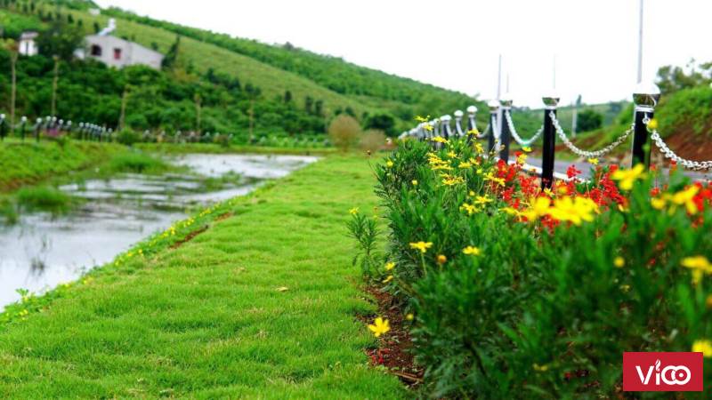 Tôi cần tiền làm ăn nên bán miếng đất đường Lý Thái Tổ, Xã Dambri, TP Bảo Lộc, Lâm Đồng