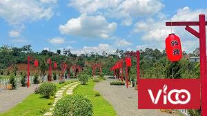 Bán đất Lâm Đồng Bảo Lâm Lộc An khu compound gần resort đôi dép cách ql 20, 5 phút đang giai