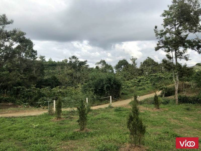 bán ngay đất mặt tiền giá siêu rẻ ra đi nhanh gọn