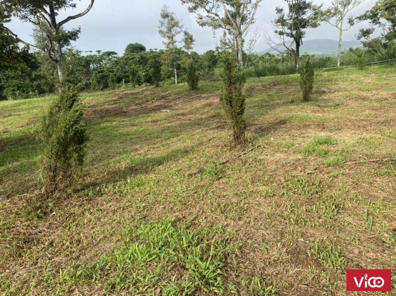 bán đất view siêu chill giá ra đi cực đẹp