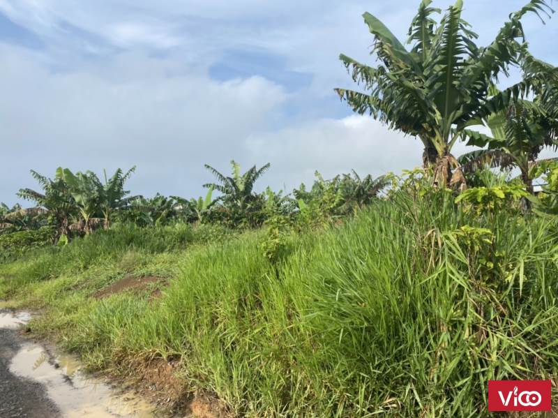 bán đất mặt tiền ngay khu sinh thái siêu đẹp siêu mê