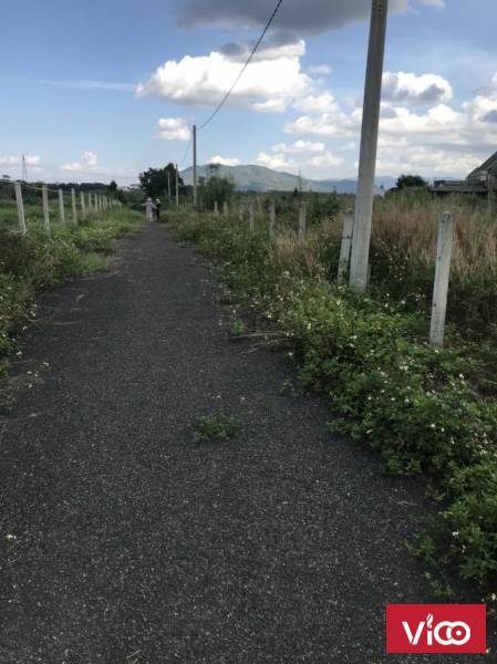 bán ngay lô đất view cao siêu đẹp giá siêu rẻ