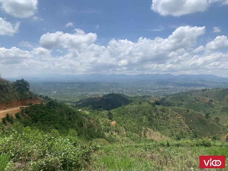 Đất view núi Đại Bình, săn mây sáng chiều gái chỉ hơn 1 tỷ