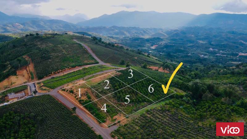 Bán mảnh 1000m2 Khu săn mây Lộc Thành, Bảo Lâm, Lâm Đồng giá 1.6 tỷ