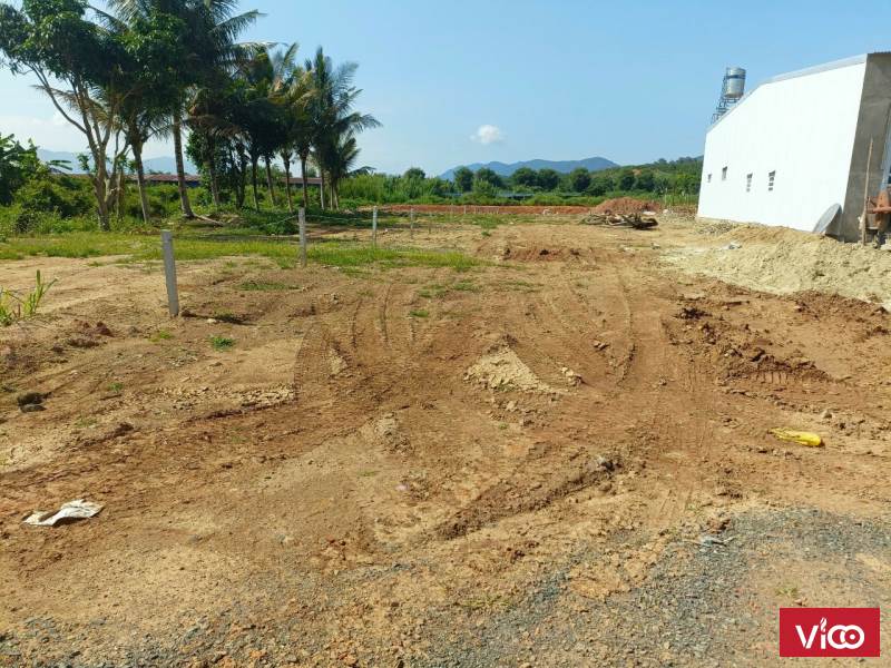 mua ngay đất đẹp giá rẻ nhận ngay ưu đãi trong tuần