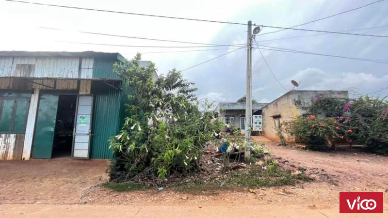 Chính chủ bán đất Suối Thông A2 xã Đạ Ròn Đơn Dương Lâm Đồng