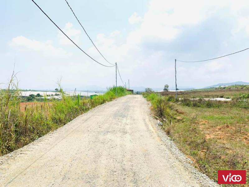 Đất nghỉ dưỡng ven Đà Lạt 508m2, sổ sẵn , quy hoạch thổ cư giá 720 triệu