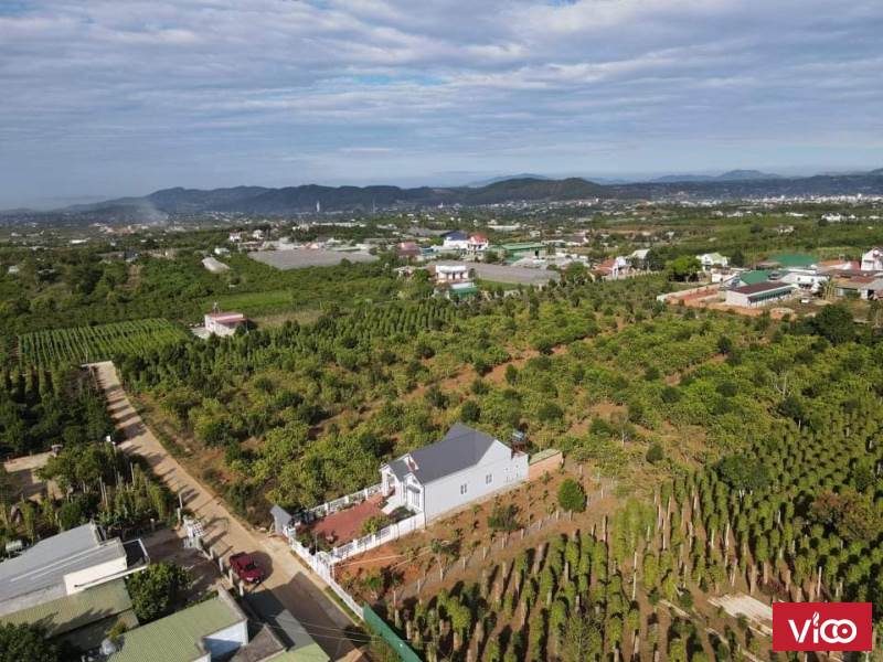 Bán Lô Đất Rộng Tại Đông Thanh , Lâm Hà, Lâm Đồng Giá Đẹp Cho Khách Thiện Chí