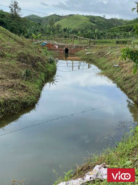 bỏ phố về núi với view cực chill siêu yên bình thư thái