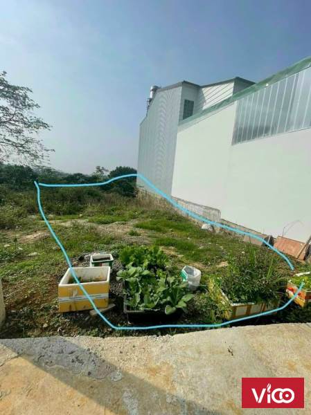 cần tiền nên bán gấp lô đất ngay trung tâm thành phố