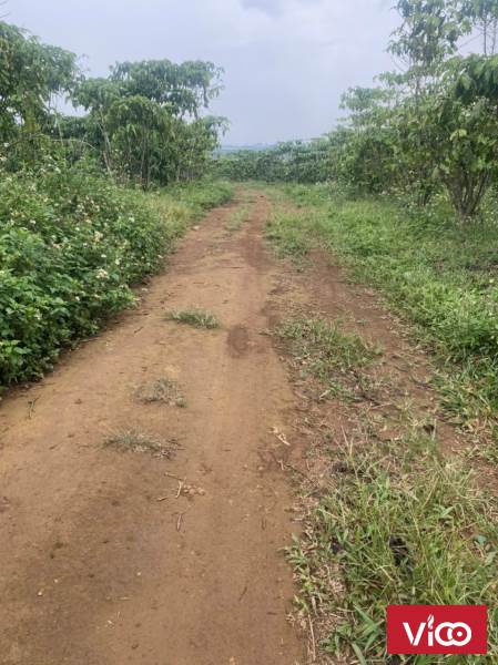 chủ nhà kẹt tiền rao bán mảnh đất đỉnh của chóp bao giá thị trường