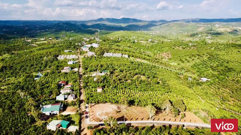 ĐẤT THỔ CƯ SỔ SẴN 700TRIEU XÃ LỘC ĐỨC TP BẢO LỘC