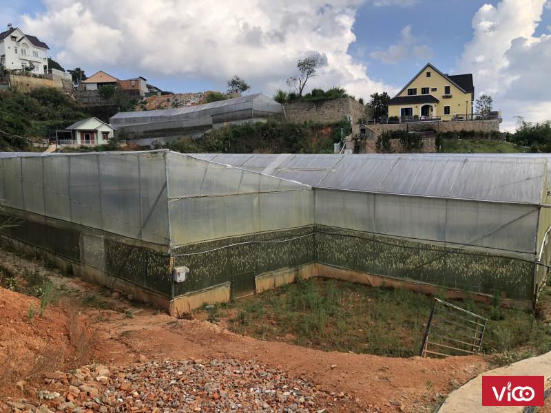 Chính Chủ Cần Bán Lô Đất Vị Trí Đẹp Tại Đường Đống Đa, Phường 3 Đà Lạt , Tỉnh Lâm Đồng