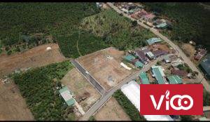 Cần bán đất vị trí đẹp giá rẻ hấp dẫn tại Lâm Đồng